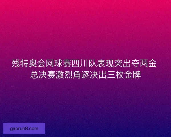 残特奥会网球赛四川队表现突出夺两金 总决赛激烈角逐决出三枚金牌